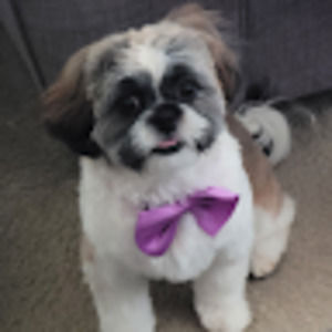 Meet your Posher, Paula